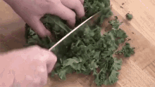 chopping kale knife vegetable