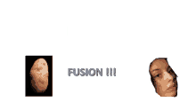 Malo Fusion GIF - Malo Fusion GIFs
