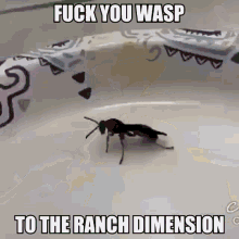 Fuck You Wasp To The Ranch Dimensjon GIF - Fuck You Wasp To The Ranch Dimensjon GIFs