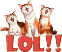 Lol Chats Sticker - Lol Chats Cats Stickers