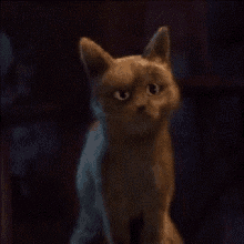 Puss In The Boots GIFs | Tenor