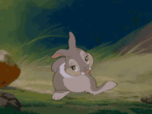 Thumper Bambi GIF - Thumper Bambi Rabbit GIFs