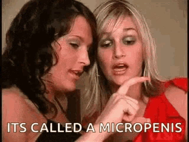 tenor.gif