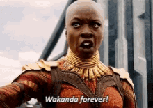 Wakanda Forever Black Panther GIF - Wakanda Forever Black Panther GIFs
