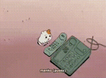 manko pussy hamtaro hamster phone call
