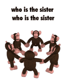who monkey