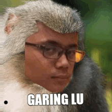 Garing Lu GIF - Garing Lu GIFs