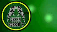Green Parrot GIF - Green Parrot Fest GIFs