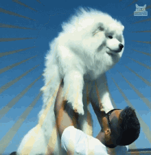 Baby Lion King GIF - Baby Lion King Puppy GIFs