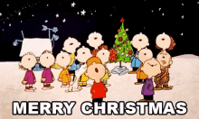 Charlie Brown Christmas Christmas Lights GIF - Charlie Brown Christmas Christmas Lights Merry Christmas GIFs