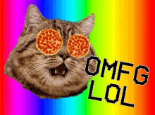 Cat Crazy GIF - Cat Crazy Lol GIFs
