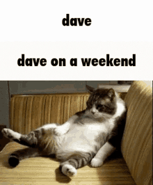 David Dave GIF - David Dave Fat GIFs