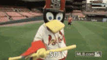 50 Cardinals GIF - 50 Cardinals Mascot GIFs