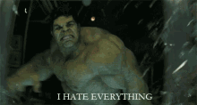 Hulk Hate Everything! GIF - Hulk I Hate Everything GIFs