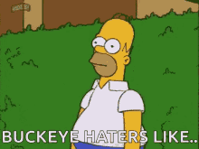 Ohio State Buckeyes Homer Simpsons GIF - Ohio State Buckeyes Homer Simpsons Hide GIFs