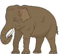 Elephant Asian Elephant Sticker - Elephant Asian Elephant Indian Elephant Stickers