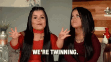 Twinning Twins GIF - Twinning Twins Sassy GIFs