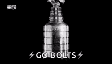 Nhl Stanleycup GIF - Nhl Stanleycup Hockey GIFs