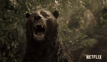 roar angry roaring baloo jungle roar angry roaring baloo jungle