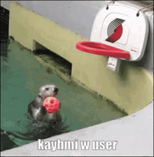 Kayhmi GIF - Kayhmi GIFs