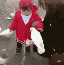 My Favorite Thats Mine GIF - My Favorite Thats Mine Dove GIFs
