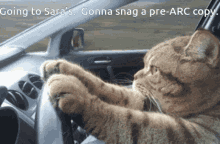 Cat Driving Going To Saras GIF - Cat Driving Going To Saras Cat GIFs