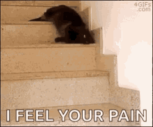 Cat Lazy GIF - Cat Lazy Feeling Your Pain GIFs