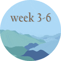 Week3 Week Three To Six Sticker - Week3 Week Three To Six Mountains Stickers