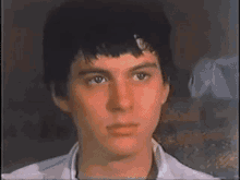 animal collective panda bear noah lennox animal collective panda bear noah lennox