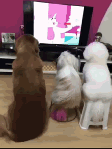 Dogs Watching Tv GIF - Dogs Watching Tv Cute GIFs