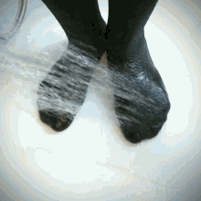 Shower Wet GIF - Shower Wet Socks GIFs