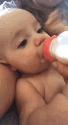Baba Bottle GIF - Baba Bottle Baby GIFs