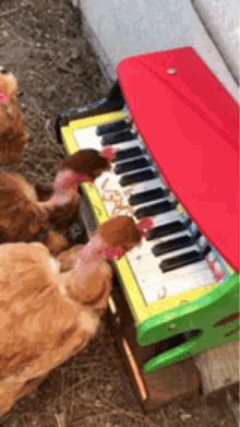 Chicken Piano Keys GIF - Chicken Piano Keys Chicken Head GIFs