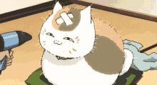 Natsume Surprised GIF - Natsume Surprised Yuujinchou GIFs