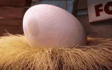 angry bird baby egg shell sneak out