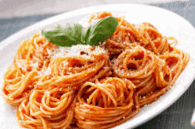 Spaghetti Corrupt GIF - Spaghetti Corrupt Glitch GIFs