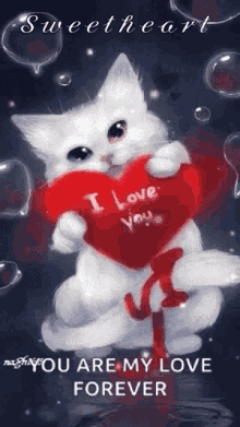 You Are My Love Love You Always GIF - You Are My Love Love You Always Cat GIFs
