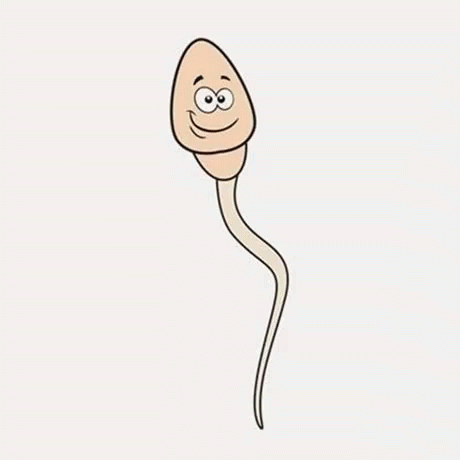 Sperm Cell Cartoon GIFs Tenor.