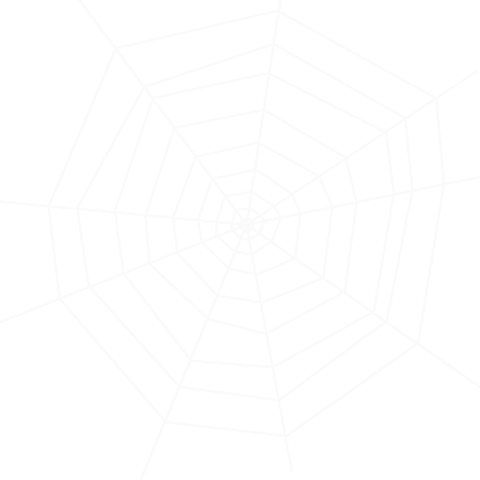 Spider Spider Web Sticker - Spider Spider Web Dropping - Discover &amp; Share  GIFs