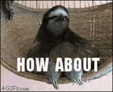 How About No Sloth GIF - How About No Sloth Nope GIFs
