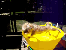 Mission Unbathable GIF - Dog Bath Nope GIFs