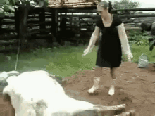 Cow Kicking GIF - Cow Kicking Bye Felicia GIFs