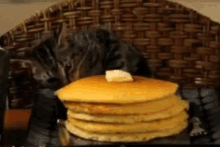 Breakfast Pancakes GIF - Breakfast Pancakes GIFs