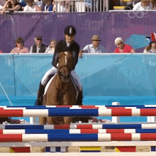 Jumping Horse Adrienne Toth GIF - Jumping Horse Adrienne Toth Jumping Over Obstacle GIFs