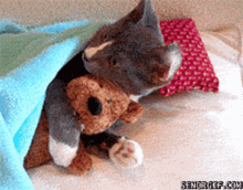 love you stuffed toy cat kitten kitty