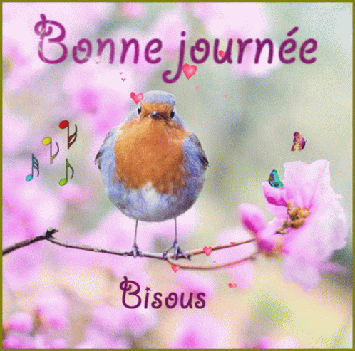 Bonne Journee GIF - Bonne Journee Oiseau - Discover &amp;amp; Share GIFs
