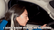 I Dont Know Where We Are Going Lizzy Capri GIF - I Dont Know Where We Are Going Lizzy Capri I Dont Know Where We Are Heading For GIFs