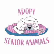 Adopt Adopt Senior Animals GIF - Adopt Adopt Senior Animals Senior Pets GIFs