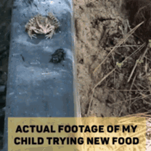 Parenting Food GIF - Parenting Food Child GIFs