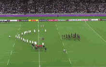 rugby haka england haka england new zealand rugby world cup